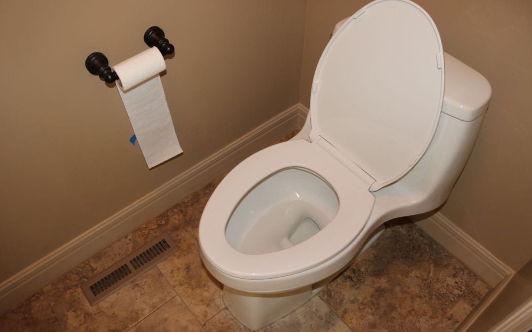 Difference Between Big and Small Toilet Troubles