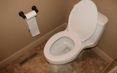 Difference Between Big and Small Toilet Troubles