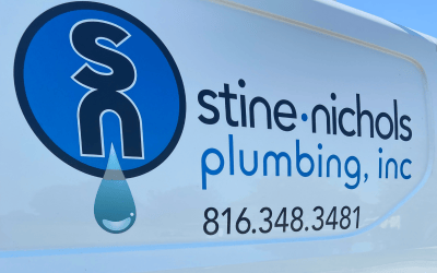 Beware of Tree Roots With Your Sewer Line!