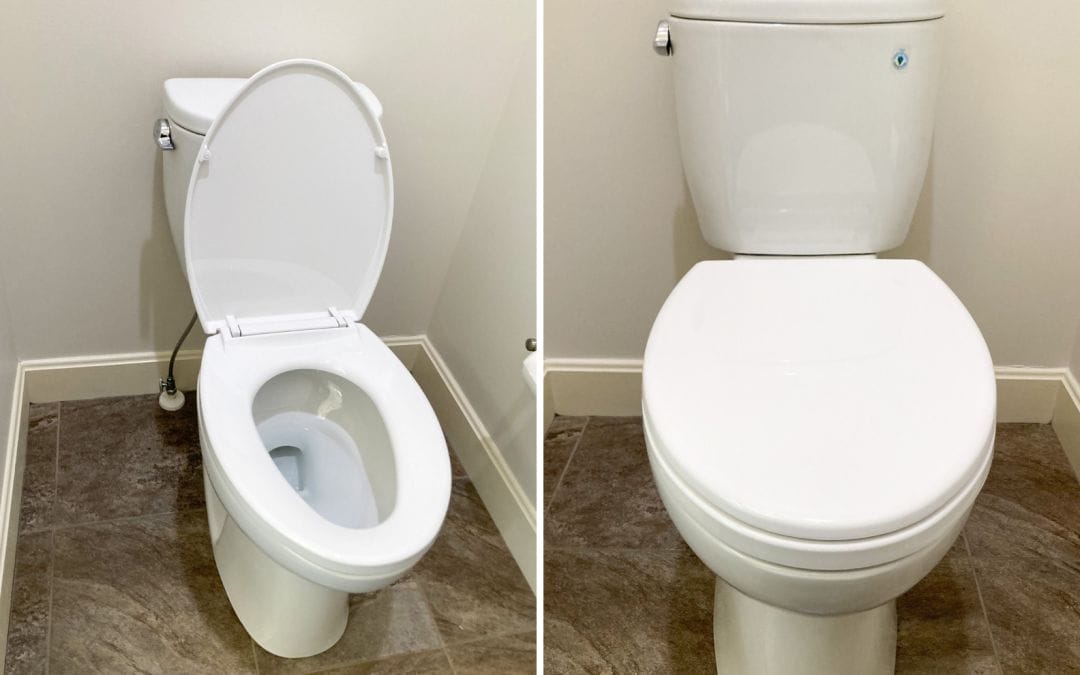 What Pet Owners Need to Know About Plumbing