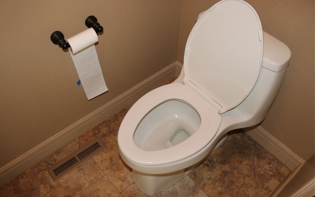 4 Unique Toilet Characteristics